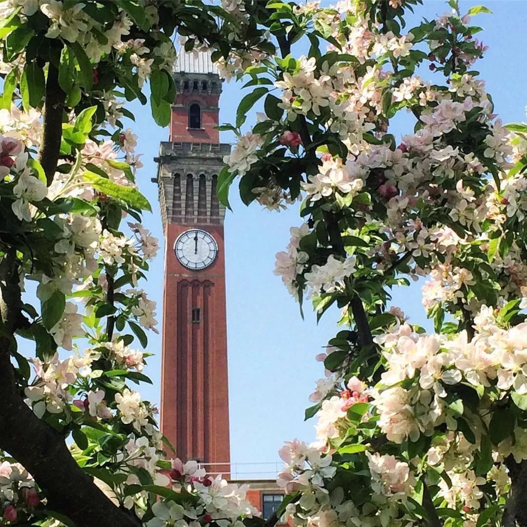 1579076296987050803.jpeg 8e87123ec7d842d3ee9575c573ce1073_b298f7e51ead55493d09bfe875b75b8e.jpeg